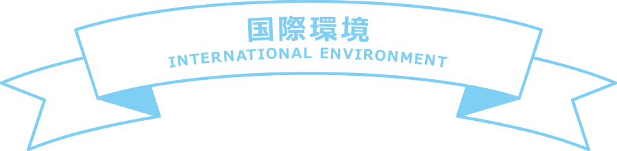International Environment